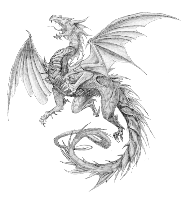 Dragon, pencil skin